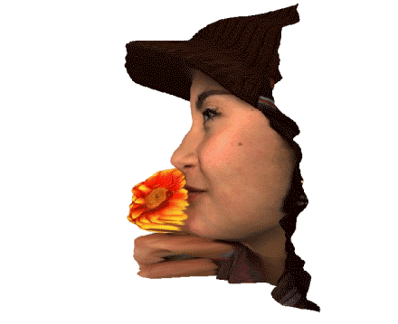 德国Raytrix三维光场相机(3D相机)-四維光场技术