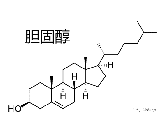 Flash纯化时，什么时候需要使用ELSD（蒸发光散射检测器）？