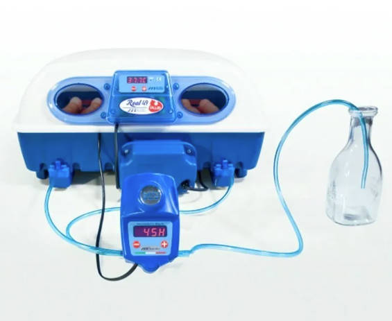 Borotto REAL 49 PLUS EXPERT 全自动孵蛋器