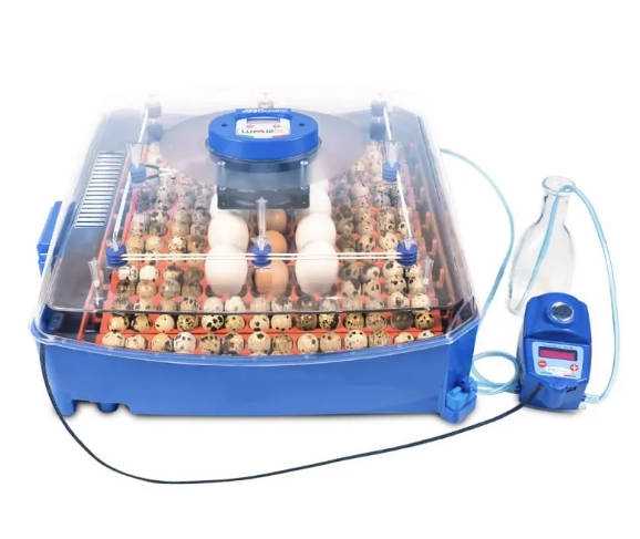 BOROTTO LUMIA 56 EXPERT 意大利进口孵蛋器